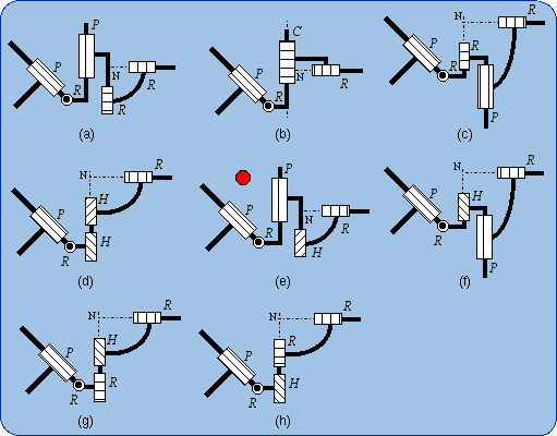 Members of the subfamily PRC-R