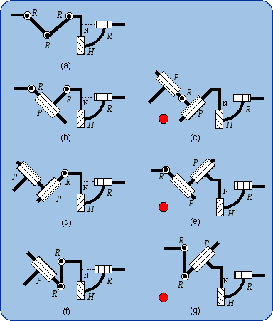 Members of the subfamily Pl-(HR)