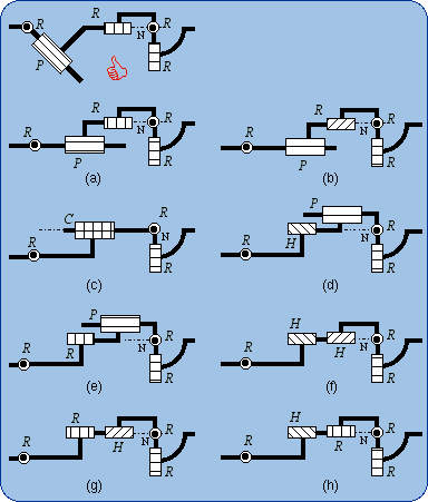 Members of the subfamily R(C-RR)