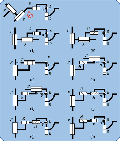 Members of the subfamily P(C-RR)